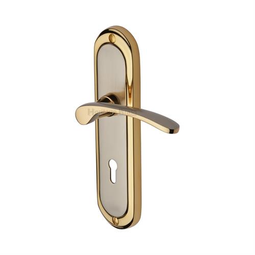 AMBASSADOR LEVER HANDLE ON BACKPLATE